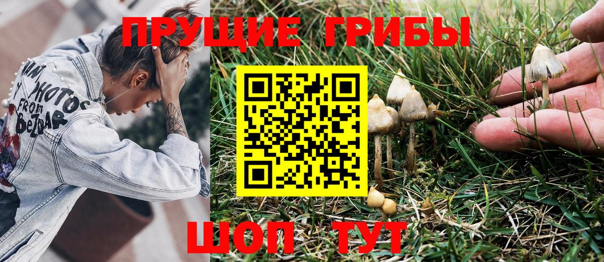 Галлюциногенные грибы Psilocybine cubensis  Вход с VPN  Сатка 