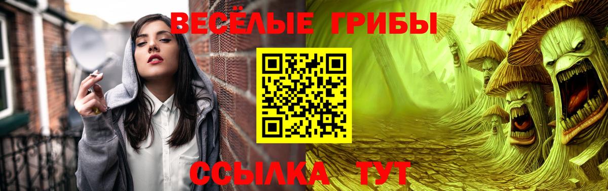 Псилоцибиновые грибы GOLDEN TEACHER Сатка